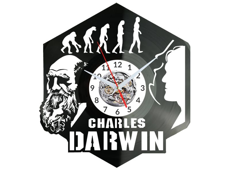 Charles Darwin Vinyl Zegar Ścienny Płyta Winylowa Nowoczesny Dekoracyjny Na Prezent Urodziny