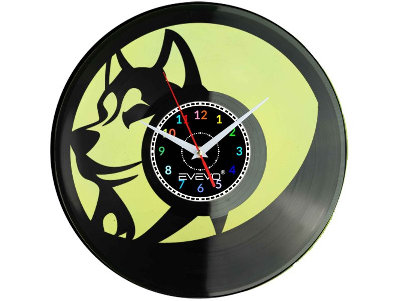 ZEGAR ŚCIENNY WILK BASIOR KOJOT FLUORESCENCYJNE TŁO PŁYTA WINYLOWA PREZENT UPOMINEK URODZINY EVEVO F0019
