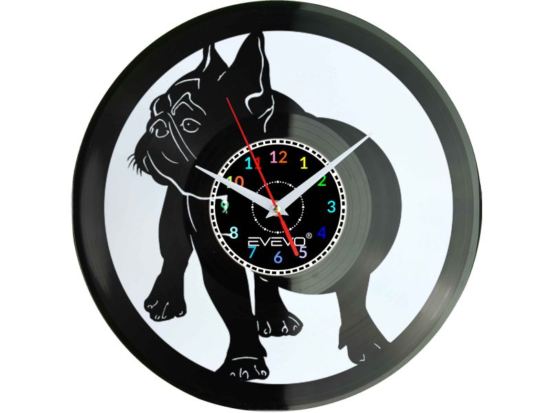 BULDOG FRANCUSKI BULEK FRANCUZ PIES ZEGAR ŚCIENNY FLUORESCENCYJNE TŁO PŁYTA WINYLOWA PREZENT UPOMINEK URODZINY EVEVO W0034 EMPIK