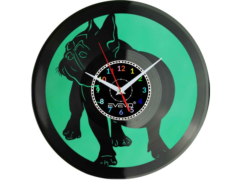 BULDOG FRANCUSKI BULEK FRANCUZ PIES ZEGAR ŚCIENNY FLUORESCENCYJNE TŁO PŁYTA WINYLOWA PREZENT UPOMINEK URODZINY EVEVO F0034