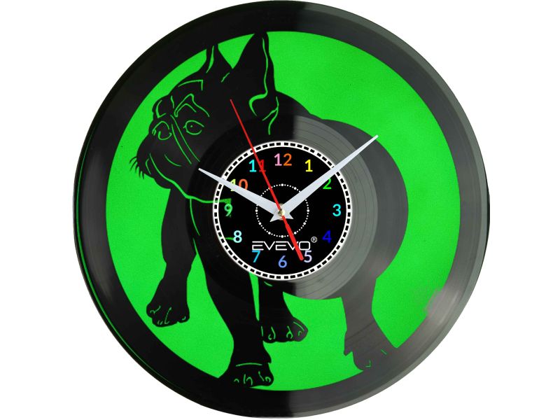 BULDOG FRANCUSKI BULEK FRANCUZ PIES ZEGAR ŚCIENNY FLUORESCENCYJNE TŁO PŁYTA WINYLOWA PREZENT UPOMINEK URODZINY EVEVO W0034