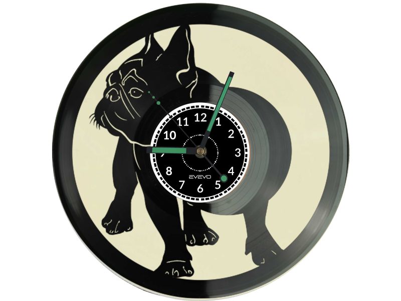 buldog francuski, bulek, francuz, pies, zegar z płyty winylowej, kolorowe tło, dla niego dla niej, prezent dla miłośnika psów