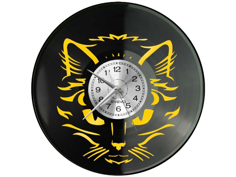 KOT DACHOWIEC KOTY KOCIAK Z PŁYTY WINYLOWEJ KOLOROWE TŁO DLA NIEGO DLA NIEJ PREZENT UPOMINEK PODARUNEK C0043