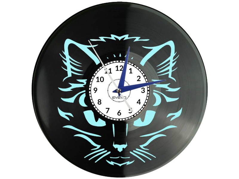 🐾 KOT DACHOWIEC KOTY KOCIAK Z PŁYTY WINYLOWEJ KOLOROWE TŁO 🎁 DLA NIEGO DLA NIEJ