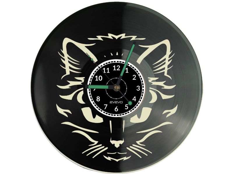 🐾 KOT DACHOWIEC KOTY KOCIAK Z PŁYTY WINYLOWEJ KOLOROWE TŁO 🎁 DLA NIEGO DLA NIEJ