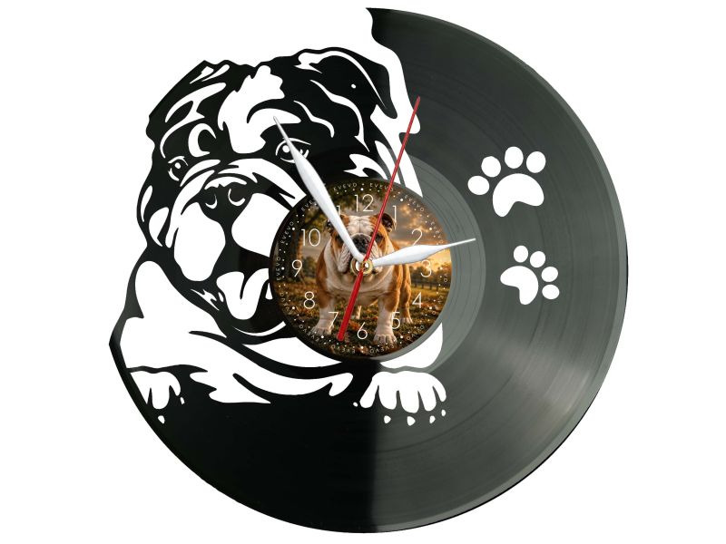 Bulldog Angielski Pies Twoje Zdjęcie Zegar Ścienny Z Płyty Winylowej 30x30 Cm EVEVO W0172