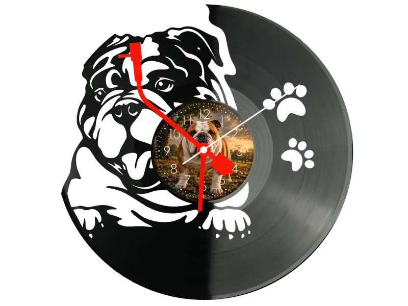Bulldog Angielski Pies Twoje Zdjęcie Zegar Ścienny Z Płyty Winylowej 30x30 Cm EVEVO W0172